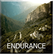 ENDURANCE